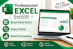 do microsoft excel data entry copy paste and data processing