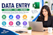do excel data entry data cleaning and spreadsheet formatting