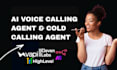 build ai cold calling agent using vapi, n8n automation for agencies, consultants
