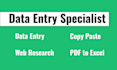 do data entry, copy paste, web research, excel data entry
