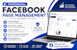 professional facebook page management