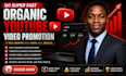 do super fast organic youtube video promotion