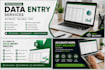 do accurate data entry, copy paste, excel data entry and web research
