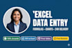 do excel data entry with formulas and charts