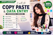do copy paste and data entry