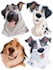 create disney pet portrait illustration