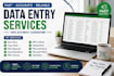 do fast and accurate data entry, copy paste and web research