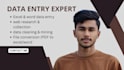 do excel data entry, data cleaning, and web research