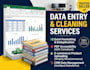 do clean virtual assistant excel data entry and cleanup