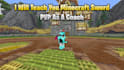teach you sword pvp as a coach