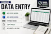 do data entry, ms word, excel and typing work