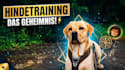 videos schneiden und bearbeiten