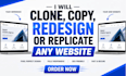 clone website, redesign website, duplicate website or copy website