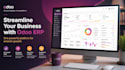 fix odoo bugs and develop custom odoo modules