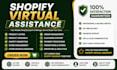 shopify virtual assistant, shopify store manager and website designer