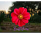 create editable canva templates