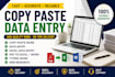 do copy paste, data entry, excel, word and PDF conversion