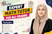provide expert math tutoring for all grades and levels