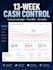 build and reconcile your 13 week cash flow forecast and KPI dashboard