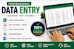 do accurate data entry excel work pdf to excel copy paste