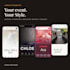 design your dream digital invitation