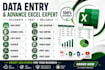 do professional excel data entry data cleaning and filtering