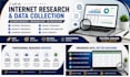 do professional internet research and data collection