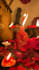 cast powerful lust spell within 24 hrs fast result