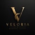 create modern ve minimal logo