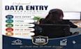 do a data entry excel sheet