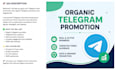 targeted forex traders to your telegram forex channel, bot, telegram subscribers