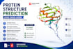 predict, validate, and analyze protein 3d structure professionally