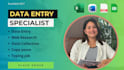 do accurate data entry, excel, google sheets and copy paste