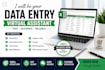 do accurate data entry, copy paste, web research and excel data entry