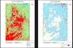 custom google earth engine analysis