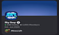 sell custom discord servers