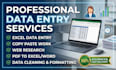 do professional data entry copy paste and web research