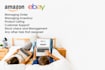 be ebay virtual assistant