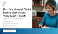 do accurate data entry, excel cleanup and file organization