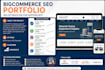 do bigcommerce SEO optimization and fix technical  issues