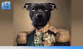 create a custom pet portrait