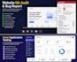perform saas application testing, website QA audit, and functional testing