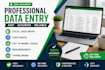 accurate data entry, copy paste, excel and web research