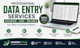 do professional data entry web recharge and copy paste