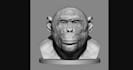 do 3d character modeling roblox