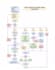 l will create flowcharts, structure charts, and java