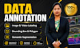 do professional image annotation and data labeling