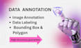 professional image annotation, data labeling, and text bounding box