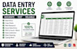 do accurate data entry, web research, copy paste and excel do professional data
