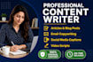 write engaging blog posts and articale for your website